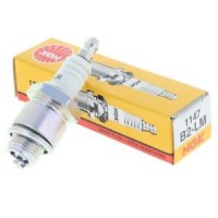 b2-lm_1