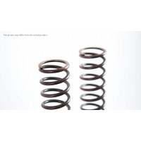 ohlins_fork_spring_2_4