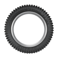 dunlop_trial_rear_side_rim-2_tl01_1
