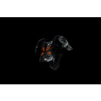 b2b2b2-PHO_PW_HIGHLIGHT_3PW192040X-A10-BODY-PROTECTOR-HIGHLIGHT_%23SALL_%23AWSG_%23V1