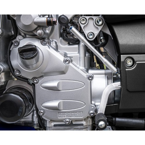 Assist and Slipper Clutch