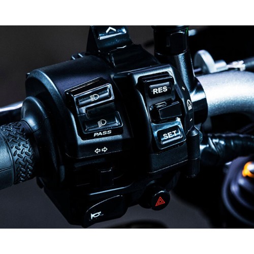 Cruise Control & Variable Speed Limiter