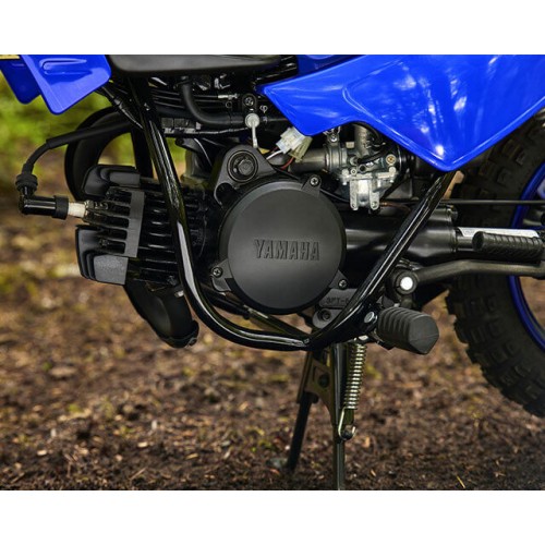 Fully-automatic 2-stroke engine